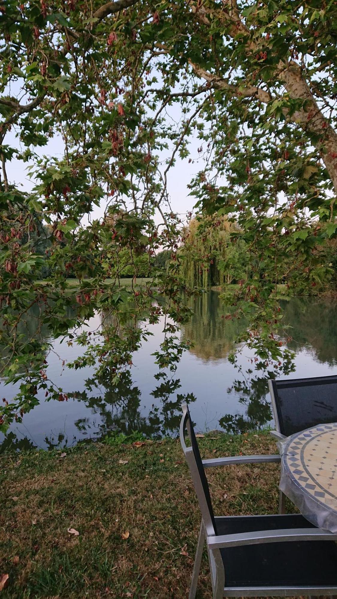 Moulin Du Fief Gentil Bed & Breakfast Blere Eksteriør bilde